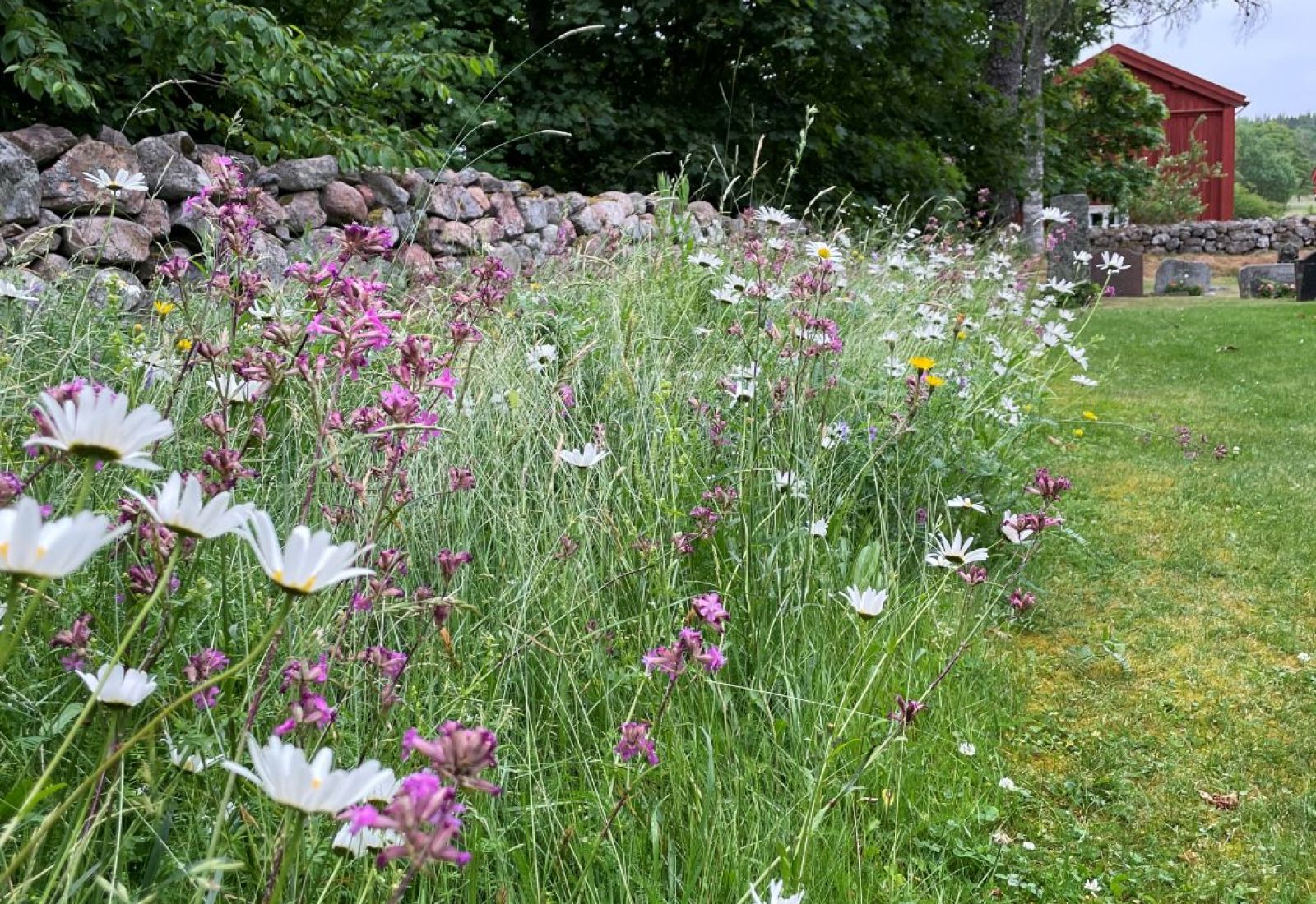 Bioreningsverk för enskilt avlopp.