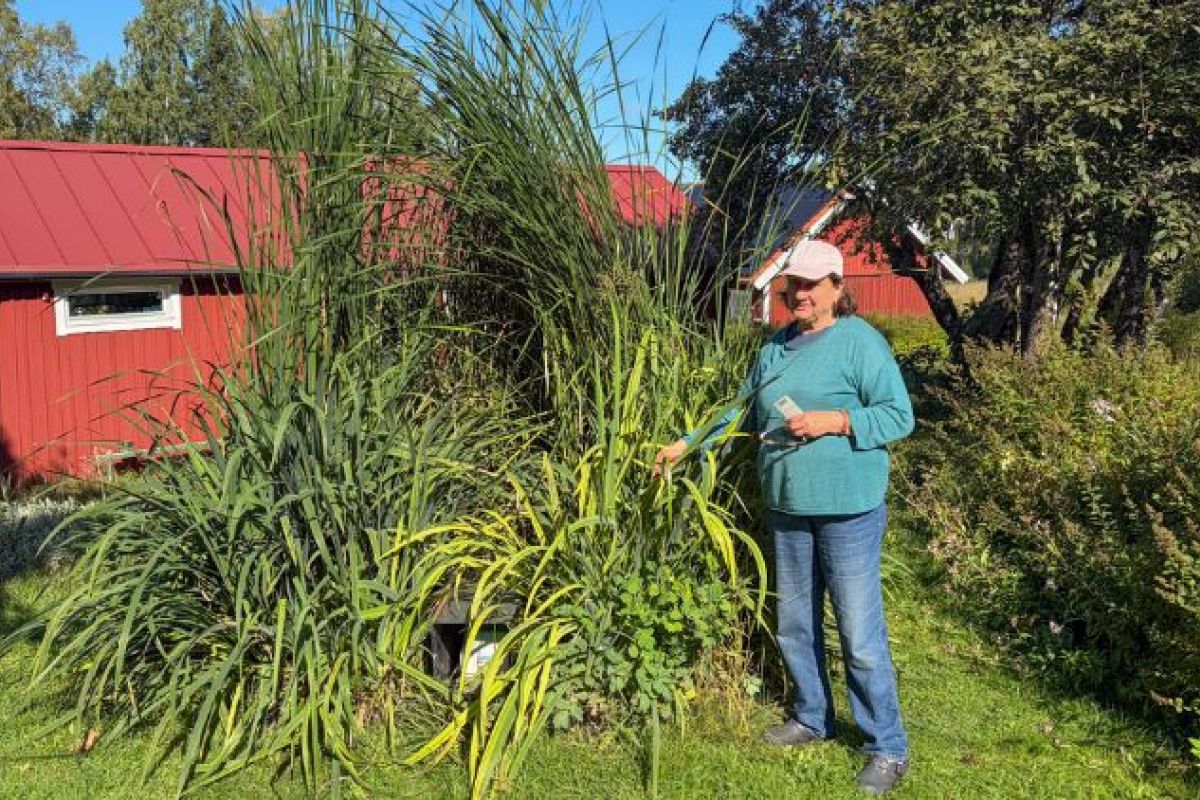 Gunilla som har ett bioreningsverk från Alnarp Cleanwater.