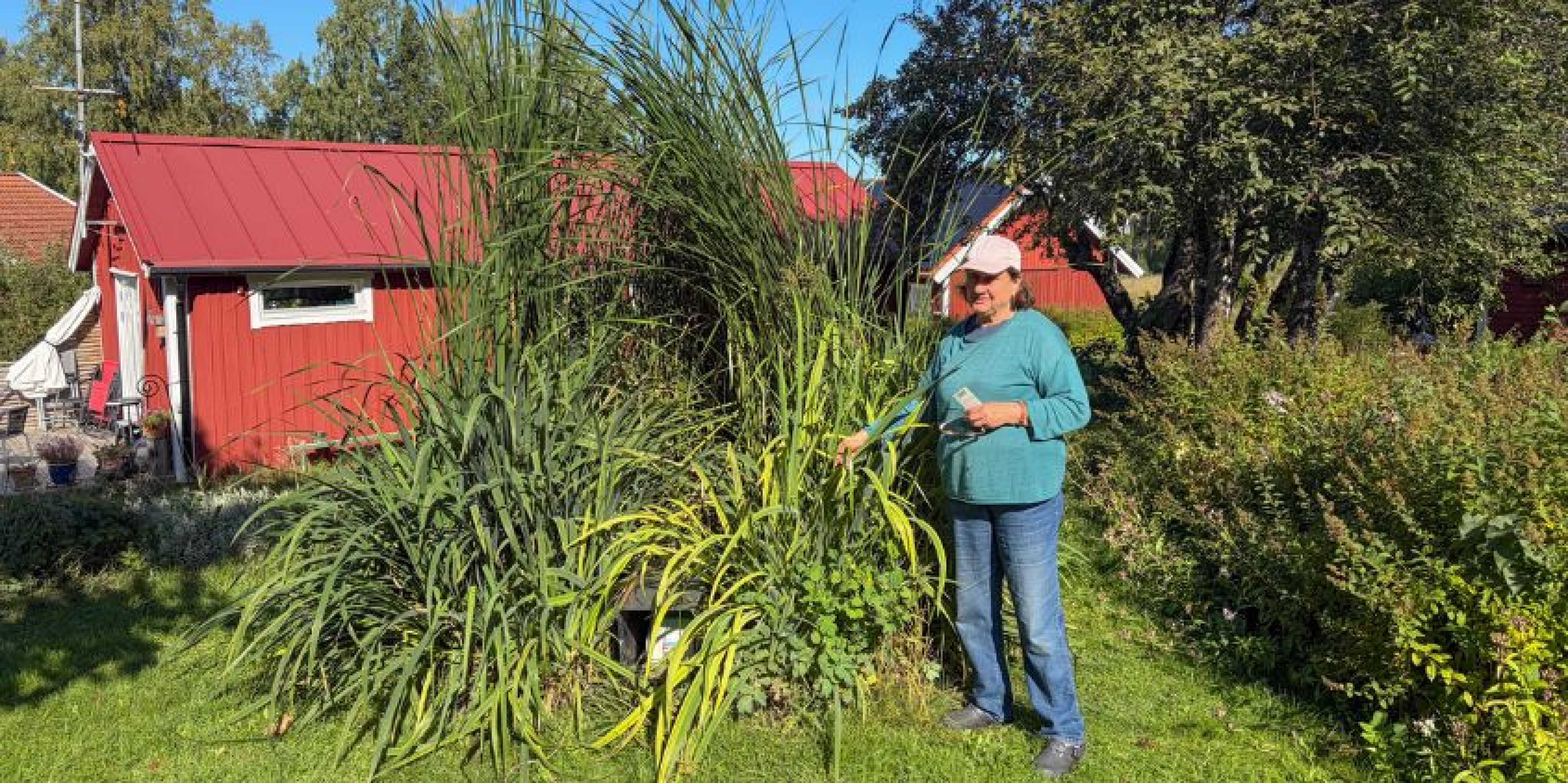 Gunilla som har ett bioreningsverk från Alnarp Cleanwater.