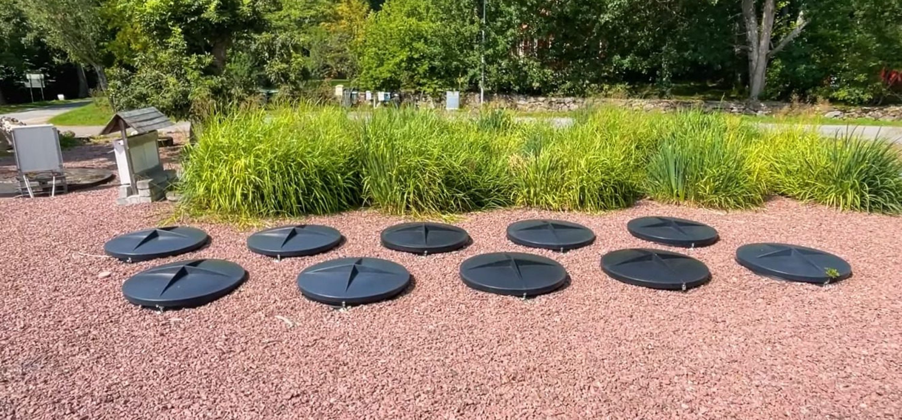 Bevattning av trädgård med uppsamlat regnvatten.
