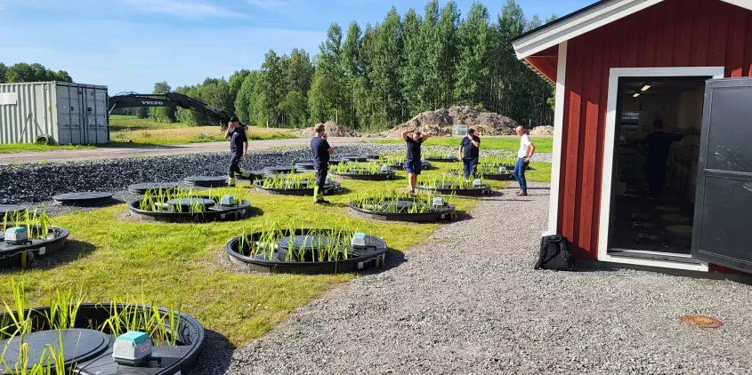 Sammankopplade bioreningsverk för större gemensamma avloppslösningar